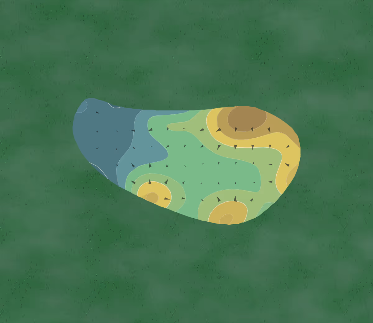 Green contour map of RoadRunner in Borrego Springs, California — 173 elevation contours at a 3-inch interval with fall-line arrows, traced from 1-meter lidar