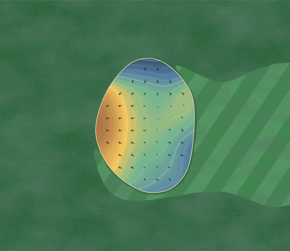 Green contour map of Rochester Place in Belle River, Canada: 155 elevation contours at a 8-centimeter interval with fall-line arrows, traced from 1-meter lidar