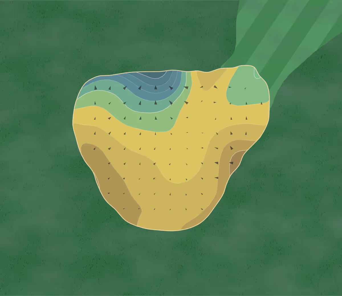 Green contour map of Rock Barn in North Carolina, North Carolina — 43 elevation contours at a 3-inch interval with fall-line arrows, traced from 1-meter lidar