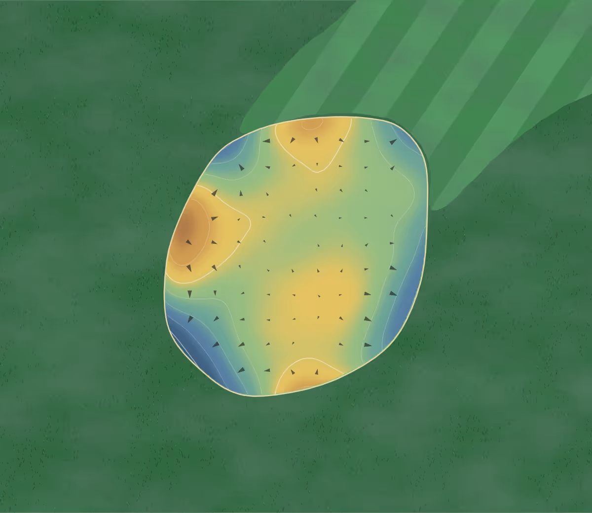 Green contour map of Rock Port in Rock Port, Missouri: 100 elevation contours at a 3-inch interval with fall-line arrows, traced from 1-meter lidar