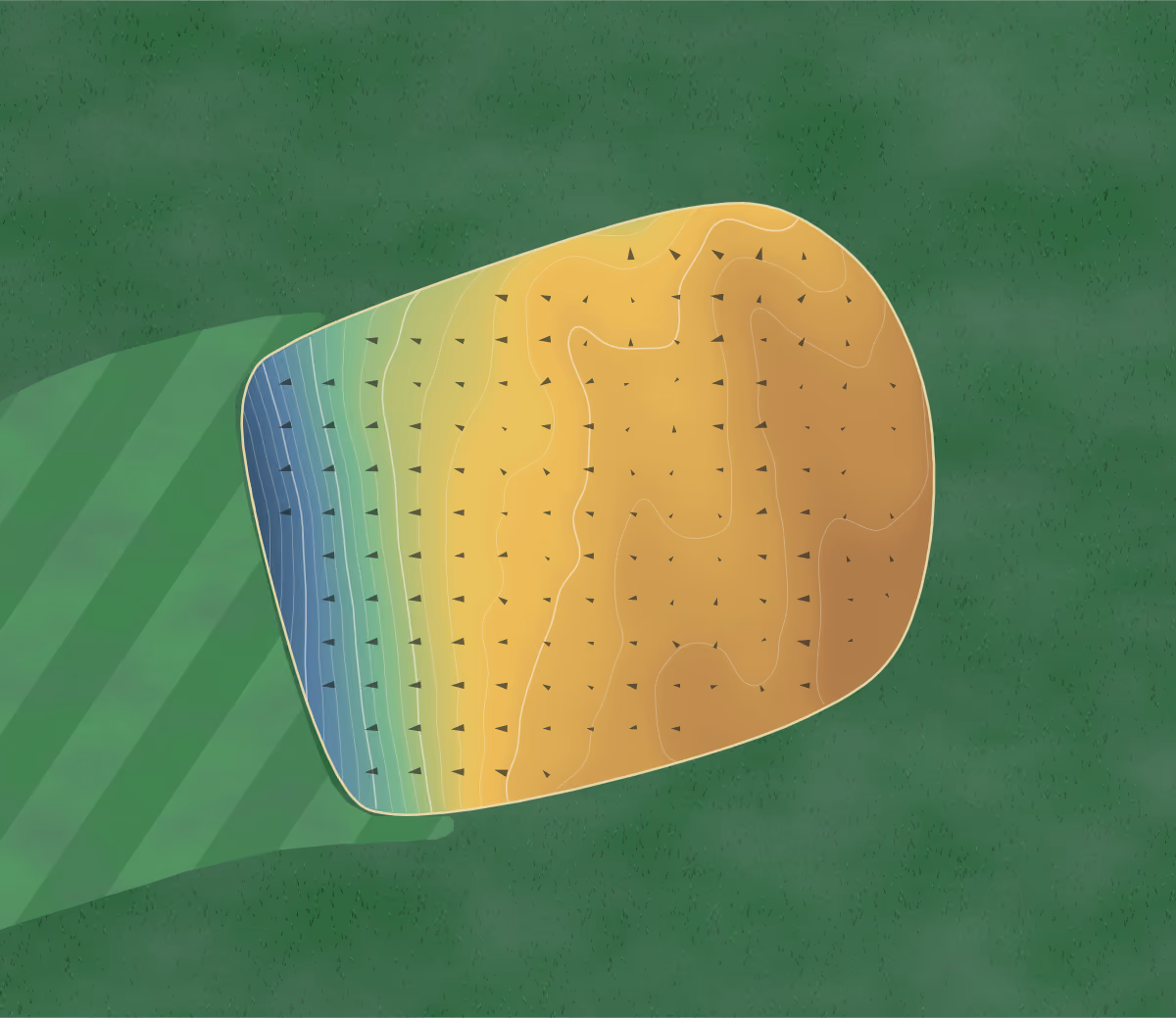 Green contour map of Rock Spring in West Orange, New Jersey: 223 elevation contours at a 3-inch interval with fall-line arrows, traced from 1-meter lidar