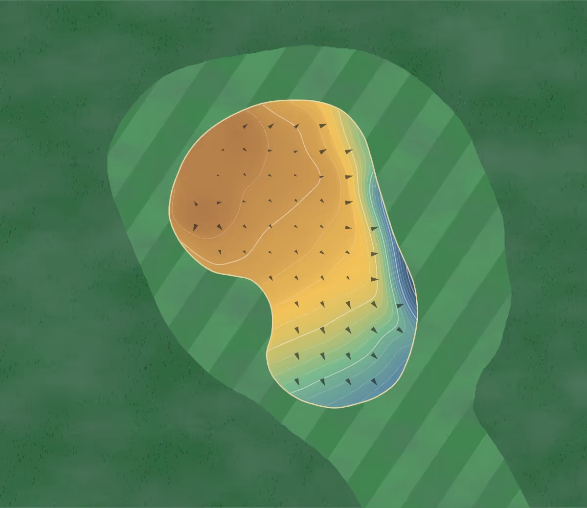 Green contour map of Rockhampton in Rockhampton, Australia — 169 elevation contours at a 8-centimeter interval with fall-line arrows, traced from 1-meter lidar