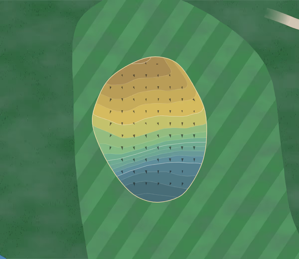 Green contour map of Rockland Golf in Rockland, Massachusetts — 146 elevation contours at a 3-inch interval with fall-line arrows, traced from 1-meter lidar