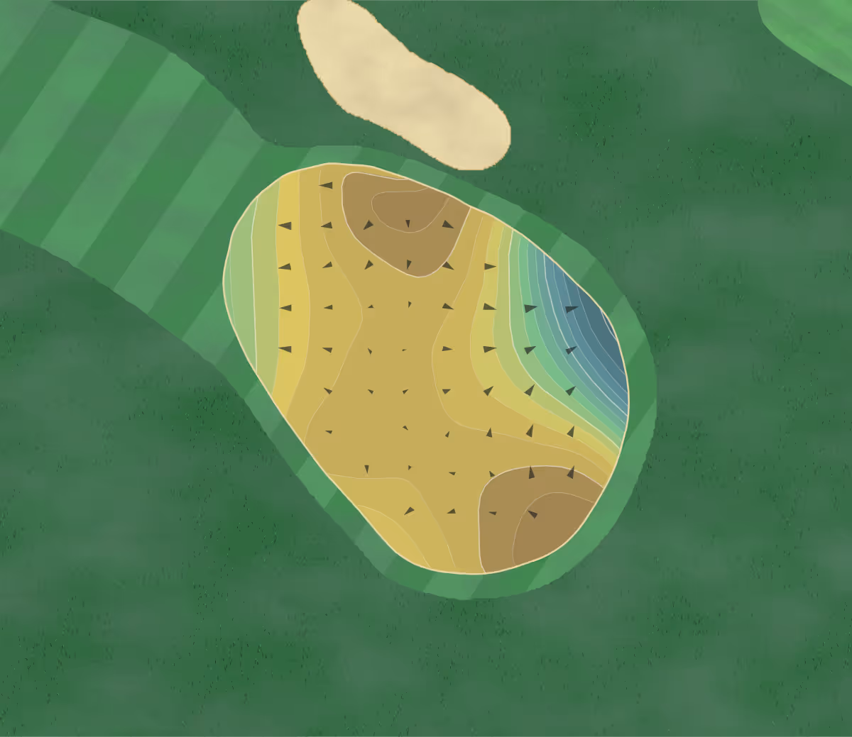 Green contour map of Rockledge CC in Rockledge, Florida — 167 elevation contours at a 3-inch interval with fall-line arrows, traced from 1-meter lidar