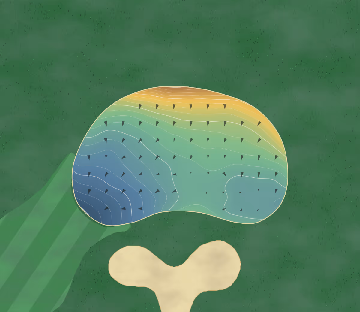Green contour map of Rocky Branch in Lincolnton, Georgia — 239 elevation contours at a 3-inch interval with fall-line arrows, traced from 1-meter lidar