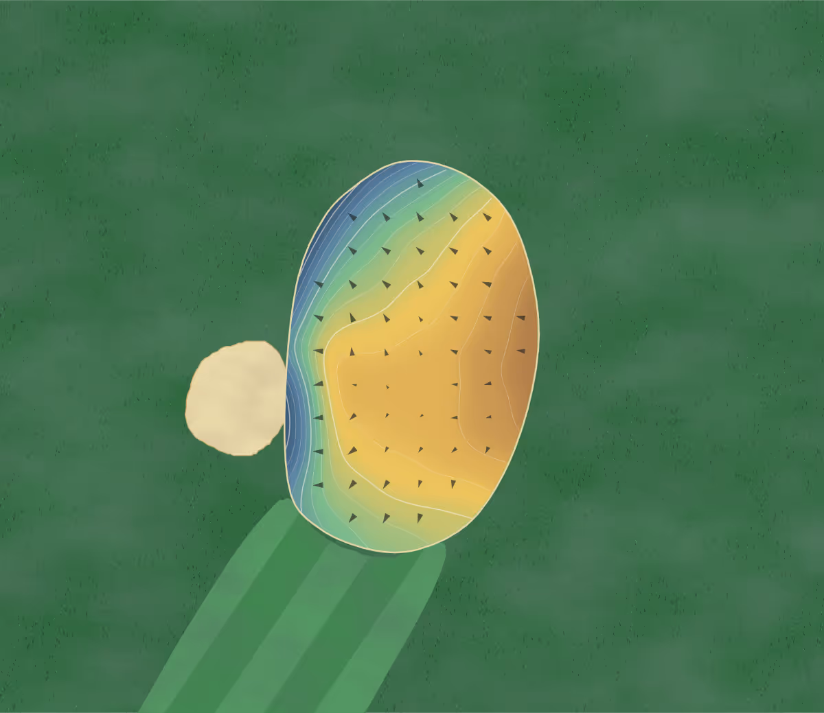 Green contour map of Rolling Hills Golf in Lapeer, Michigan — 215 elevation contours at a 3-inch interval with fall-line arrows, traced from 1-meter lidar