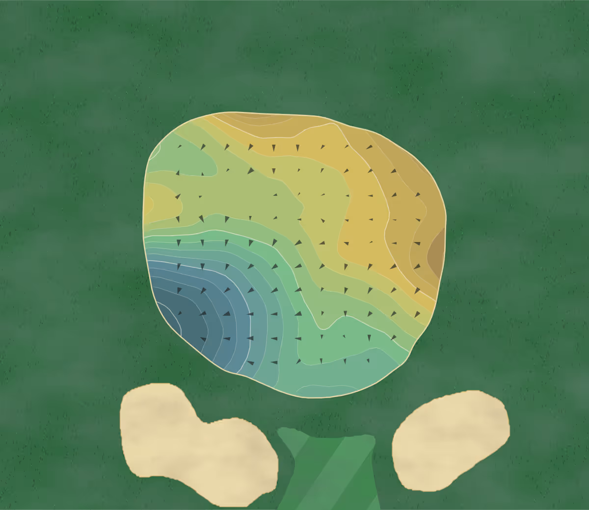 Green contour map of Rolling Meadows in Ellington, Connecticut — 218 elevation contours at a 3-inch interval with fall-line arrows, traced from 1-meter lidar