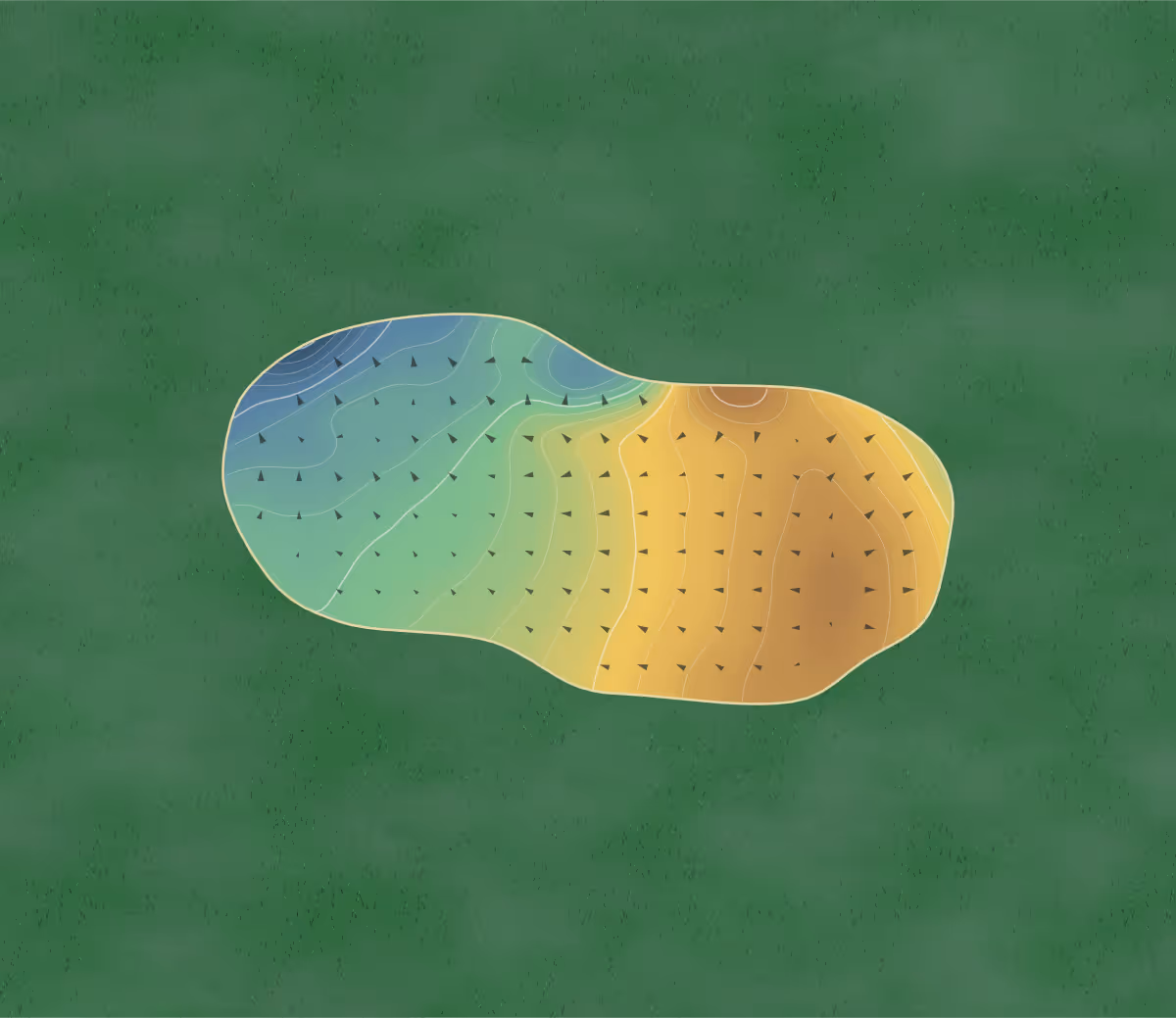 Green contour map of Rookery Park in Lowestoft, England — 204 elevation contours at a 8-centimeter interval with fall-line arrows, traced from 1-meter lidar