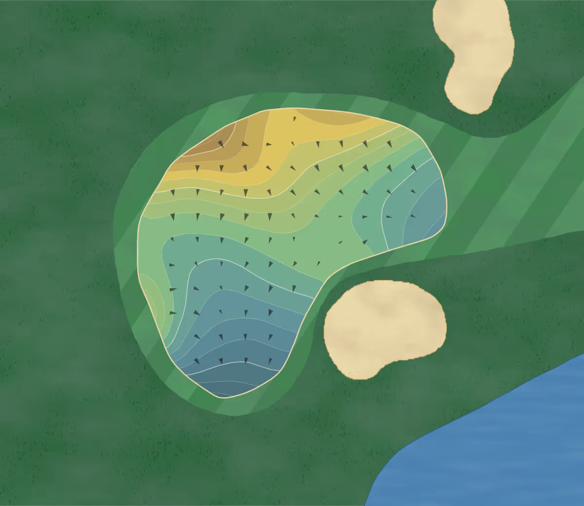 Green contour map of Rooster Run in Petaluma, California — 243 elevation contours at a 3-inch interval with fall-line arrows, traced from 1-meter lidar