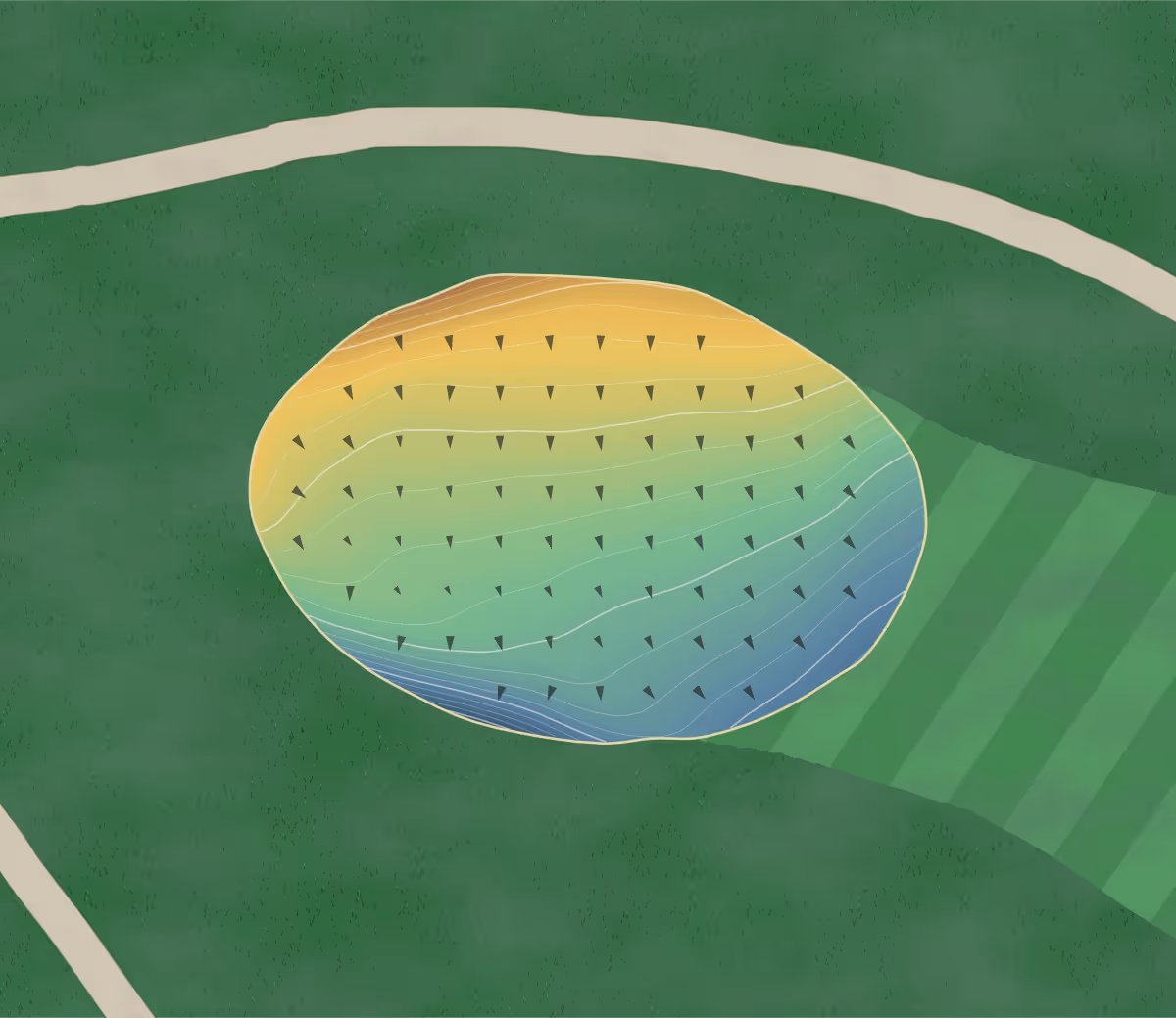 Green contour map of Rose City in Portland, Oregon — 205 elevation contours at a 3-inch interval with fall-line arrows, traced from 1-meter lidar