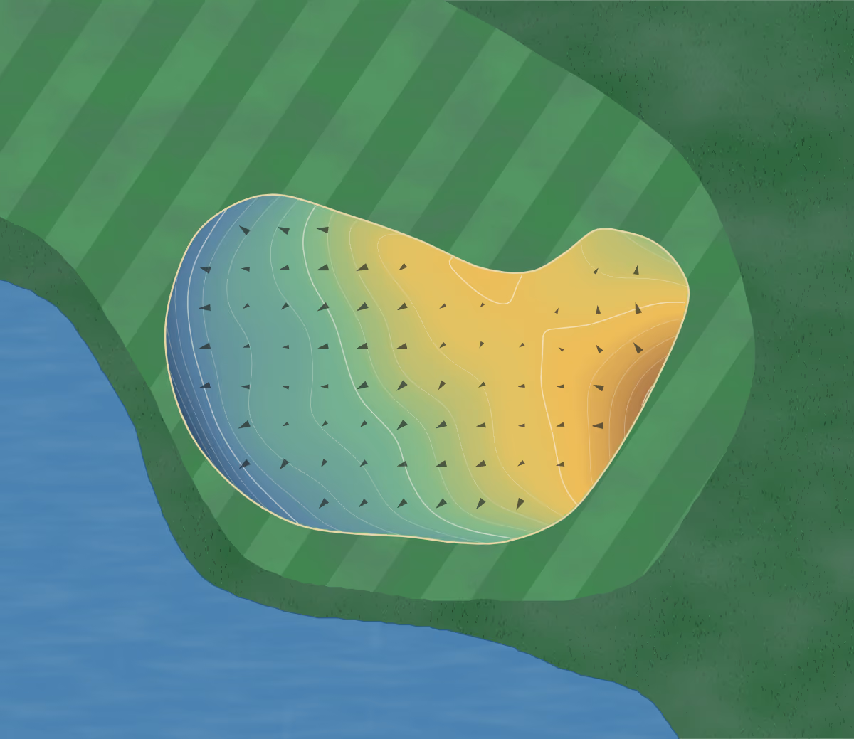 Green contour map of Rose Hill in Bluffton, South Carolina: 137 elevation contours at a 3-inch interval with fall-line arrows, traced from 1-meter lidar