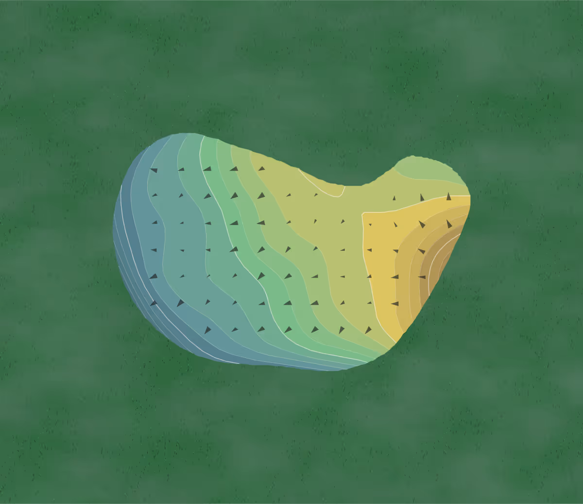 Green contour map of Rose Hill in Bluffton, South Carolina — 38 elevation contours at a 3-inch interval with fall-line arrows, traced from 1-meter lidar