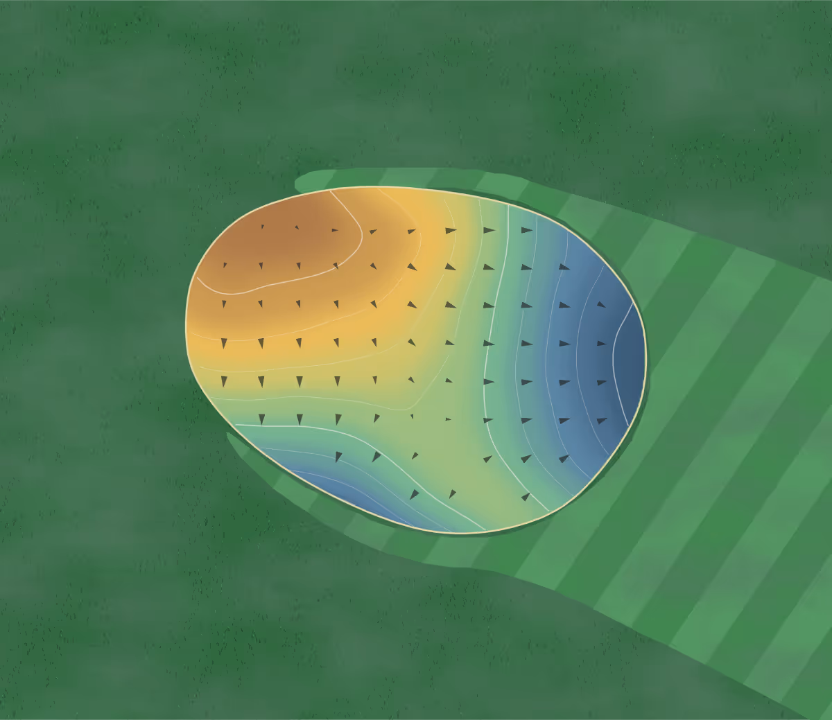 Green contour map of Roseville Cedarholm in Roseville, Minnesota — 66 elevation contours at a 3-inch interval with fall-line arrows, traced from 1-meter lidar