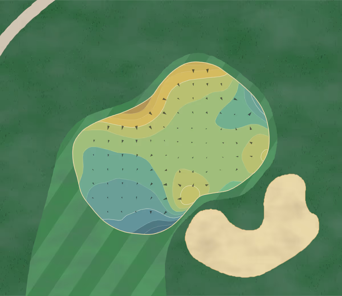 Green contour map of Ross Creek in Clifton, Tennessee — 204 elevation contours at a 3-inch interval with fall-line arrows, traced from 1-meter lidar