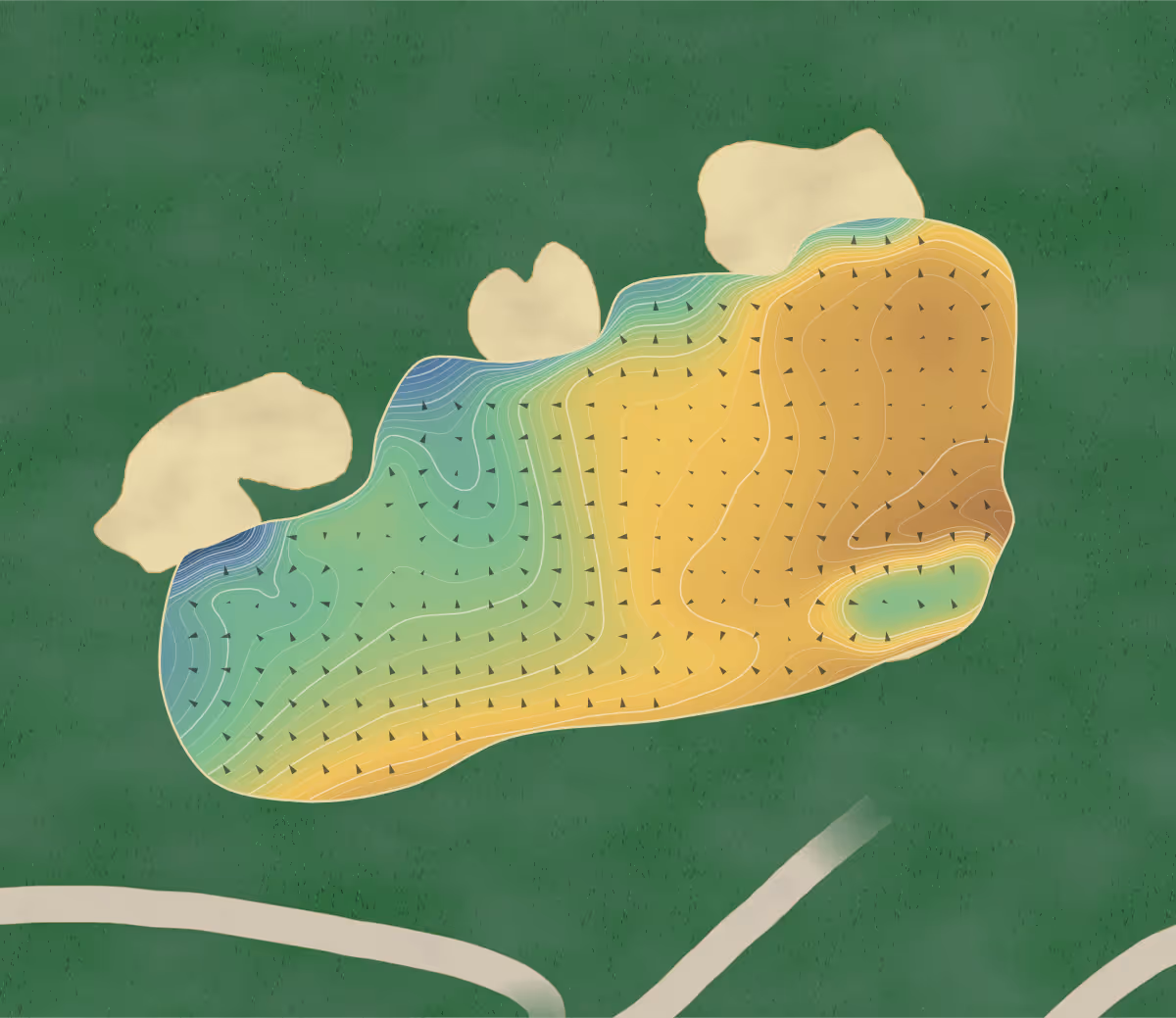 Green contour map of The Grange in Auckland, New Zealand — 365 elevation contours at a 8-centimeter interval with fall-line arrows, traced from 1-meter lidar