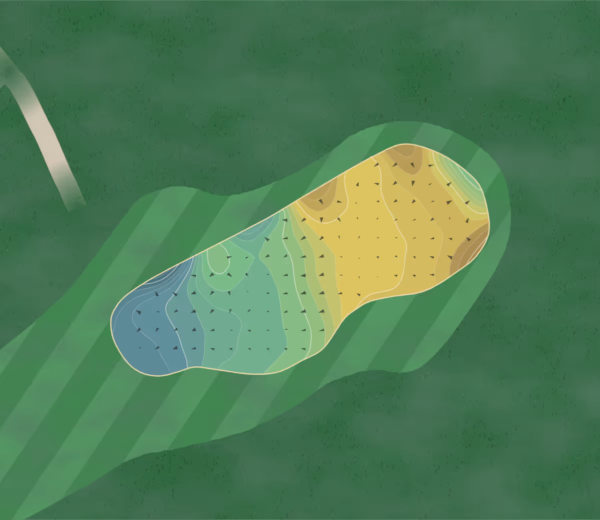 Green contour map of Royal Birkdale in Lancashire, England — 296 elevation contours at a 8-centimeter interval with fall-line arrows, traced from 1-meter lidar