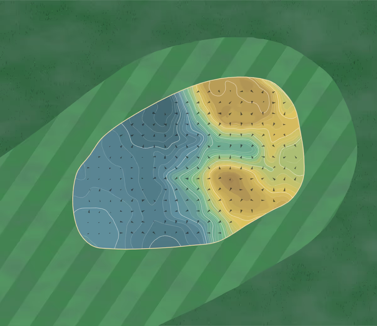 Green contour map of Royal Dornoch in Dornoch, Scotland — 234 elevation contours at a 8-centimeter interval with fall-line arrows, traced from 1-meter lidar