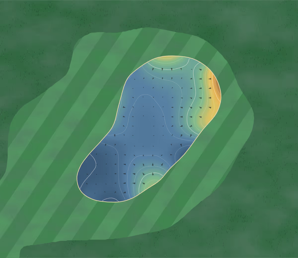 Green contour map of Royal Dublin in North Bull Island Nature Reserve, Ireland — 148 elevation contours at a 8-centimeter interval with fall-line arrows, traced from 1-meter lidar