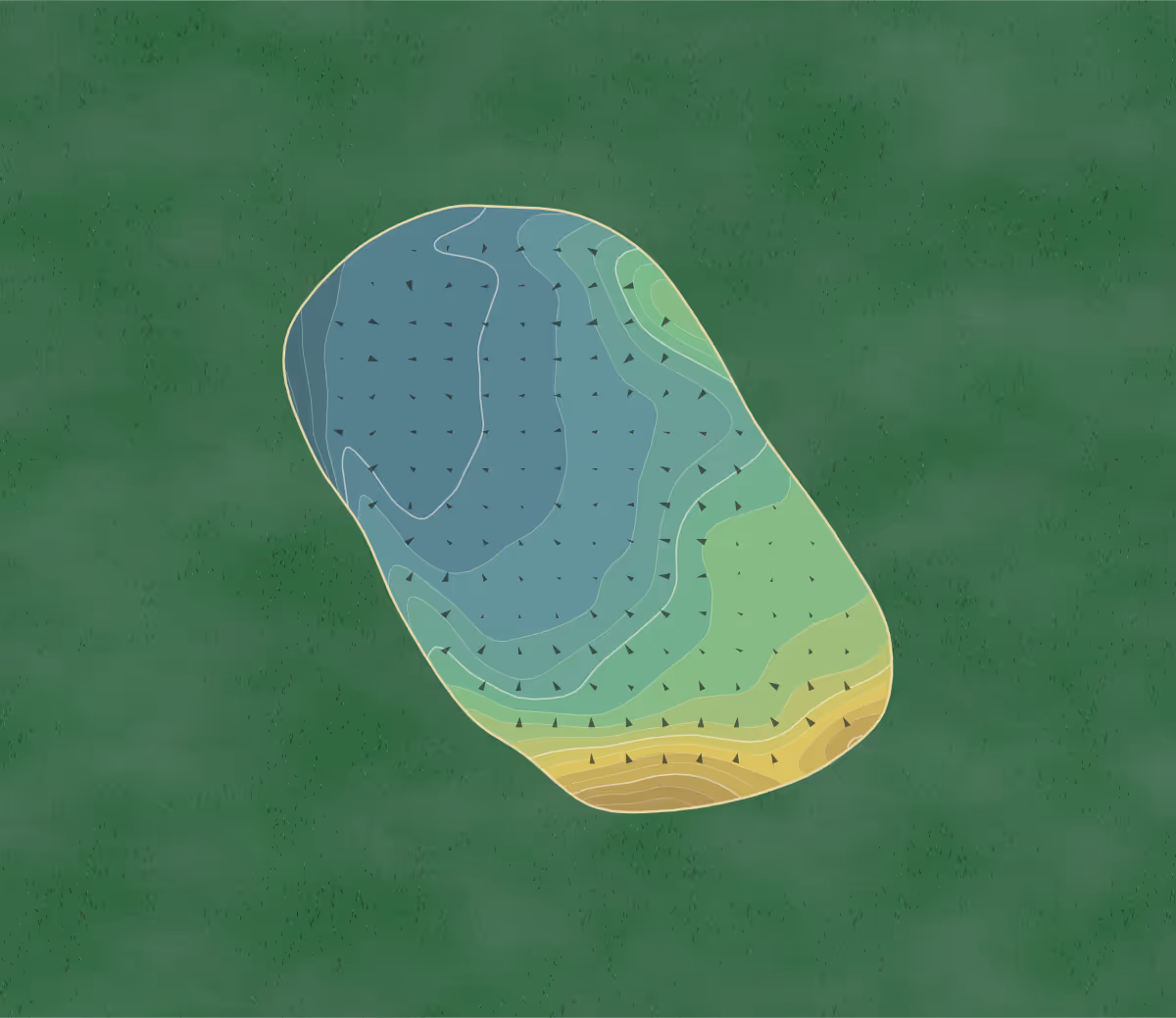 Green contour map of Royal North in Bideford, England — 170 elevation contours at a 8-centimeter interval with fall-line arrows, traced from 1-meter lidar