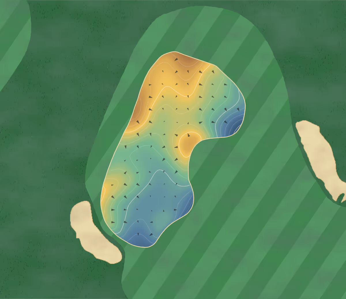 Green contour map of Royal Queensland in Eagle Farm, Australia — 152 elevation contours at a 8-centimeter interval with fall-line arrows, traced from 1-meter lidar