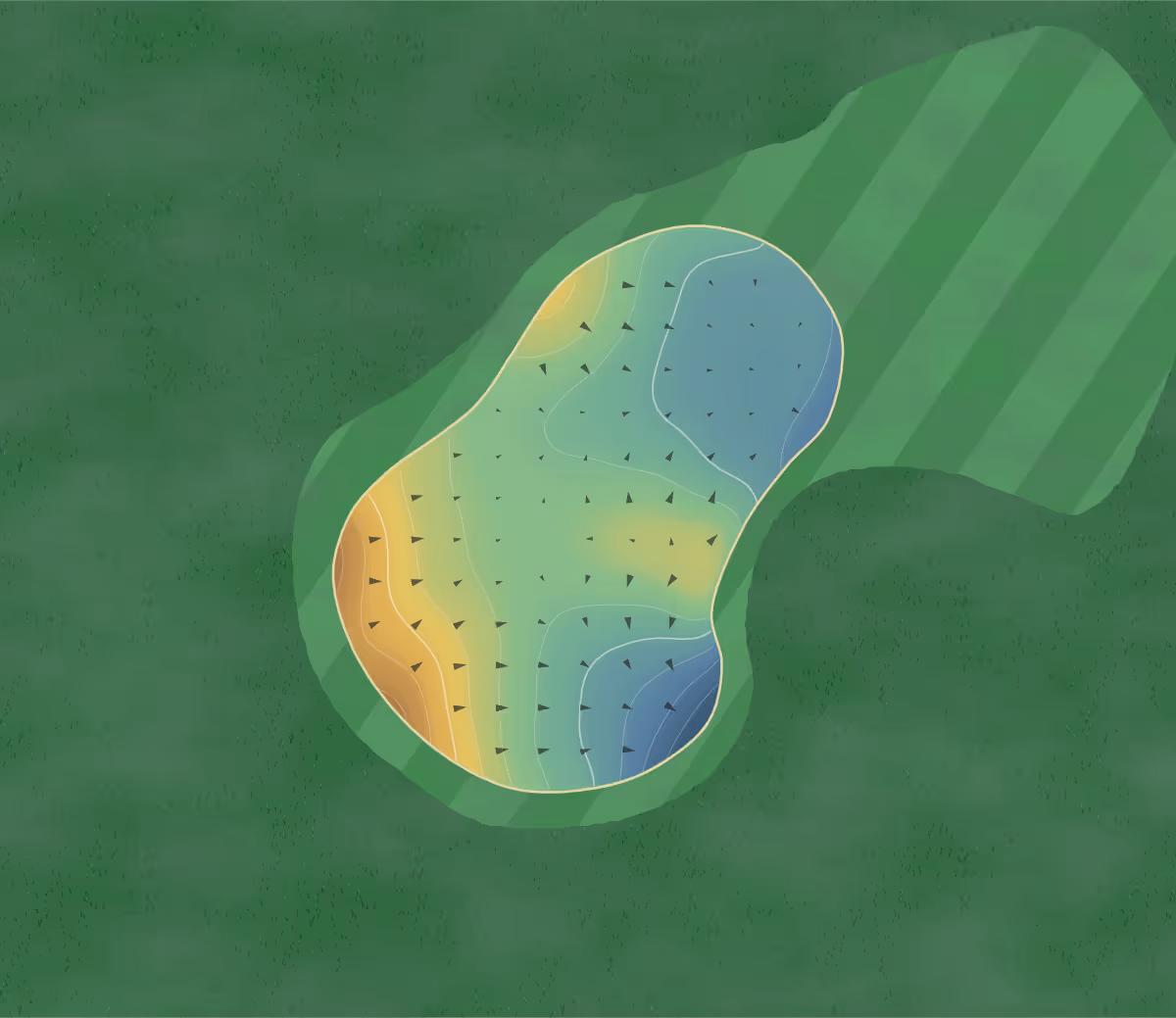 Green contour map of Royalwood in Abbotsford, Canada — 167 elevation contours at a 8-centimeter interval with fall-line arrows, traced from 1-meter lidar