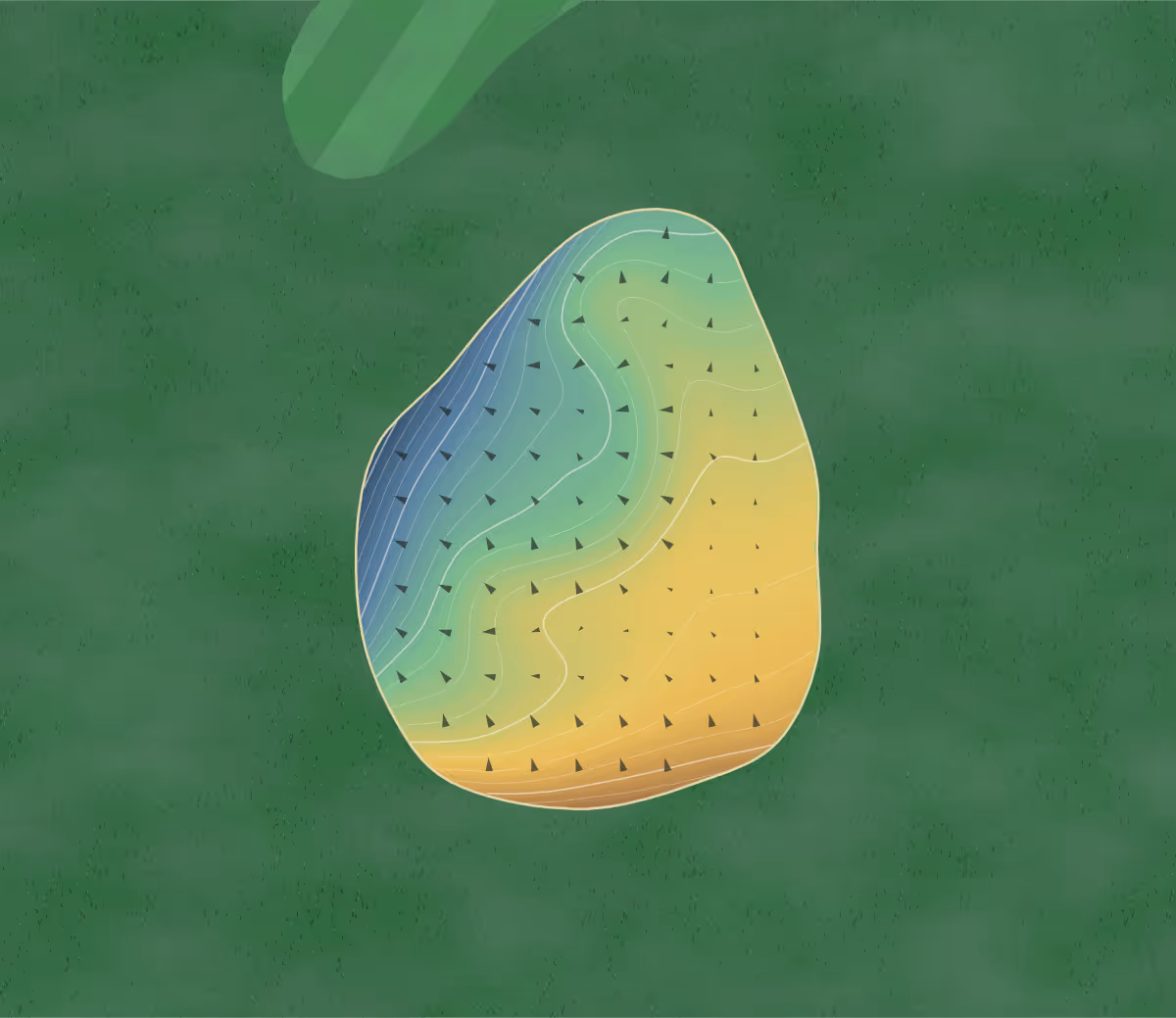 Green contour map of Rozella Ford in Warsaw, Indiana: 186 elevation contours at a 3-inch interval with fall-line arrows, traced from 1-meter lidar