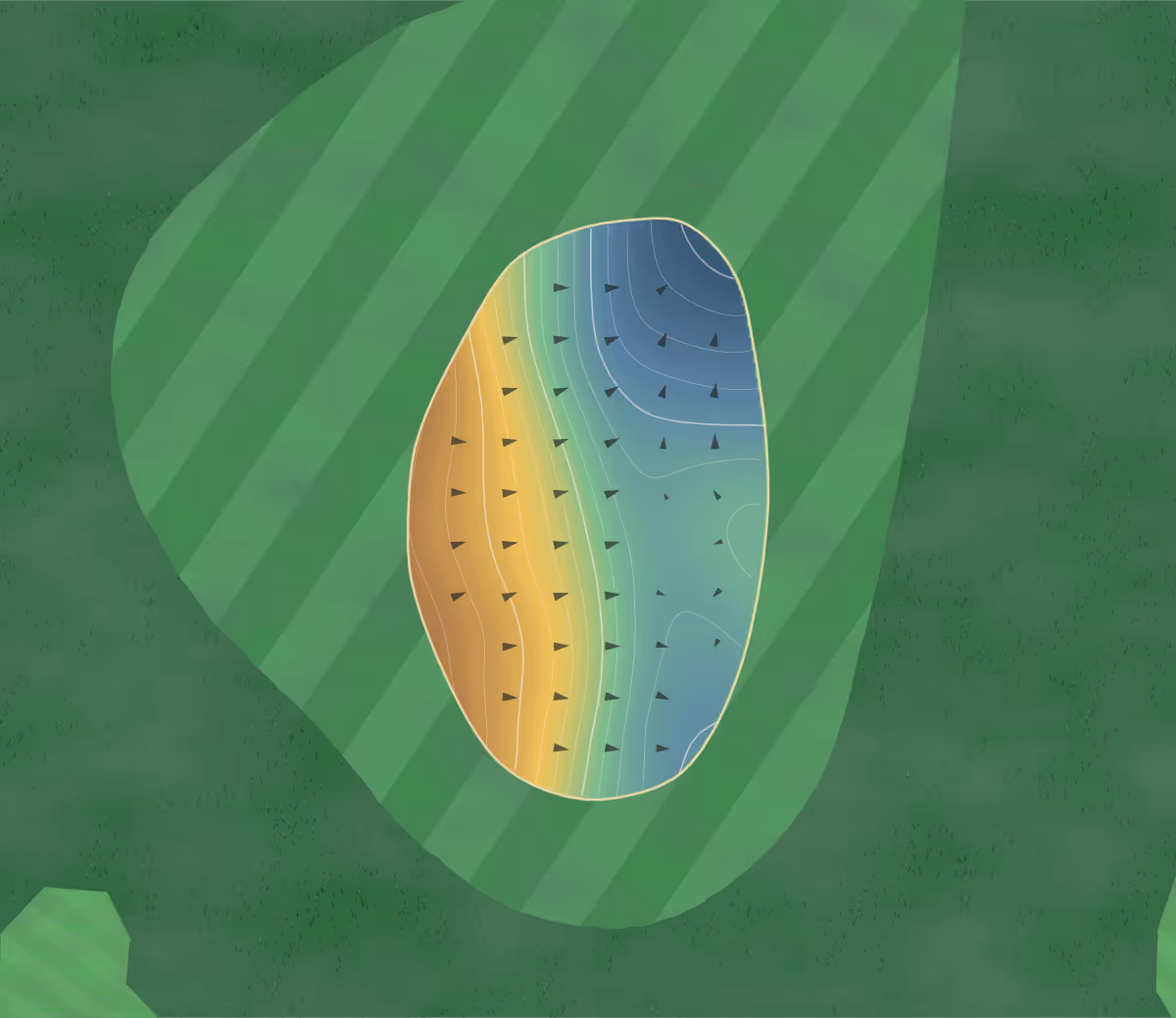 Green contour map of Russell Vale in Russell Vale, Australia — 195 elevation contours at a 8-centimeter interval with fall-line arrows, traced from 1-meter lidar