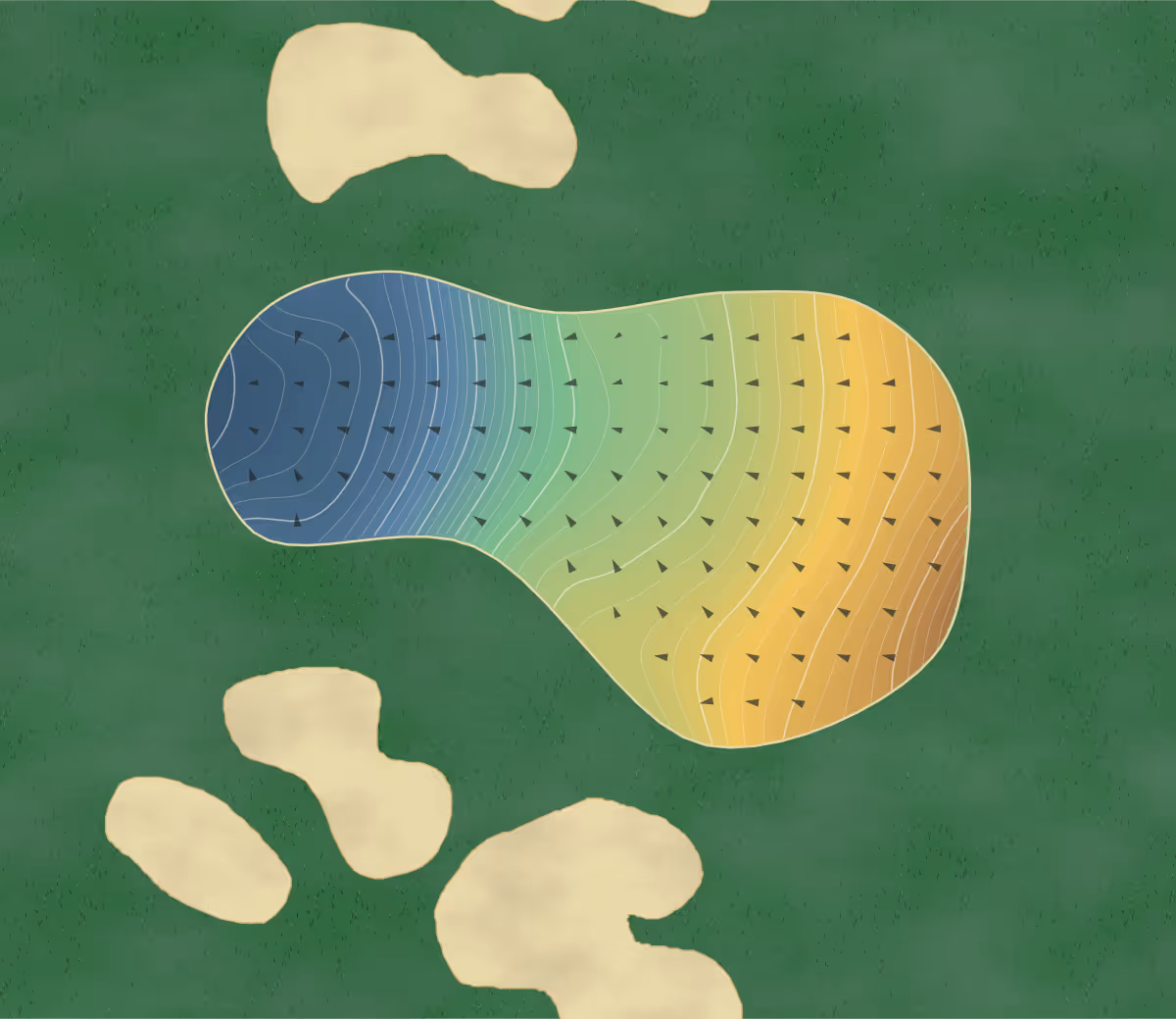 Green contour map of Formosa in Auckland, New Zealand — 331 elevation contours at a 8-centimeter interval with fall-line arrows, traced from 1-meter lidar
