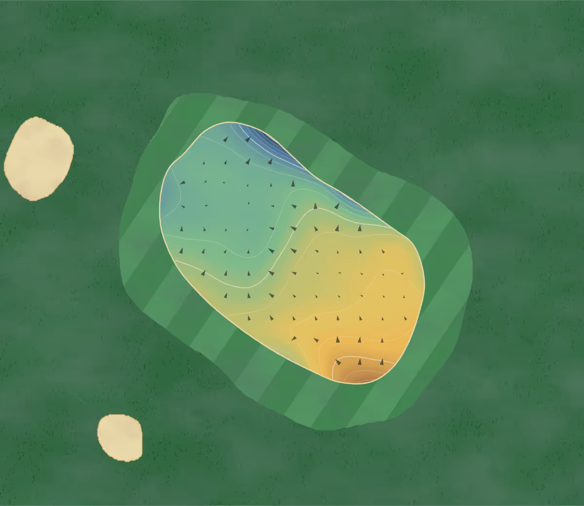 Green contour map of Rye Gc in Rye, England — 165 elevation contours at a 8-centimeter interval with fall-line arrows, traced from 1-meter lidar
