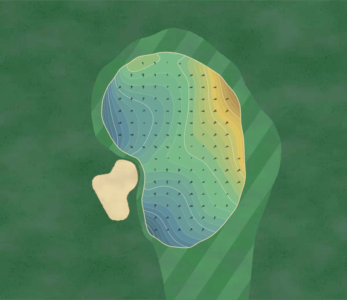 Green contour map of Sage Valley in Graniteville, South Carolina — 324 elevation contours at a 3-inch interval with fall-line arrows, traced from 1-meter lidar