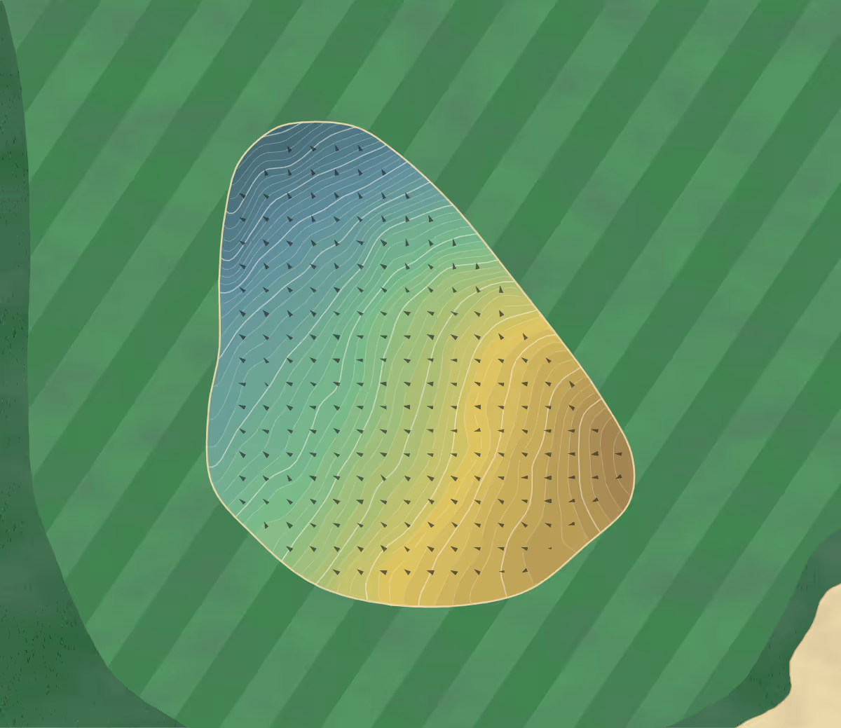Green contour map of Sand Valley in Nekoosa, Wisconsin — 654 elevation contours at a 3-inch interval with fall-line arrows, traced from 1-meter lidar