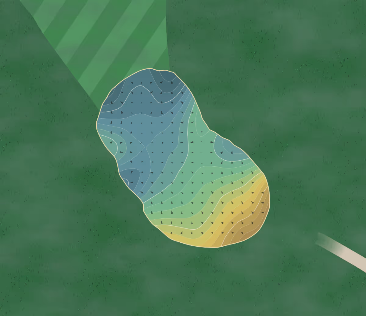 Green contour map of Sandefjord Golfklubb in Sandefjord, Norway — 184 elevation contours at a 8-centimeter interval with fall-line arrows, traced from 1-meter lidar