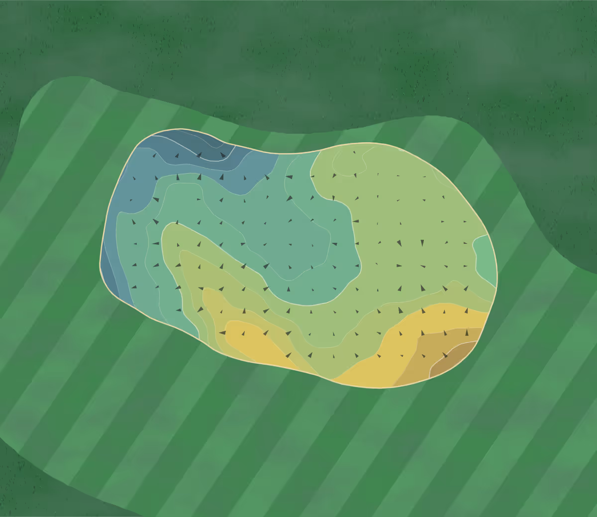 Green contour map of Sandia in Albuquerque, New Mexico — 184 elevation contours at a 3-inch interval with fall-line arrows, traced from 1-meter lidar