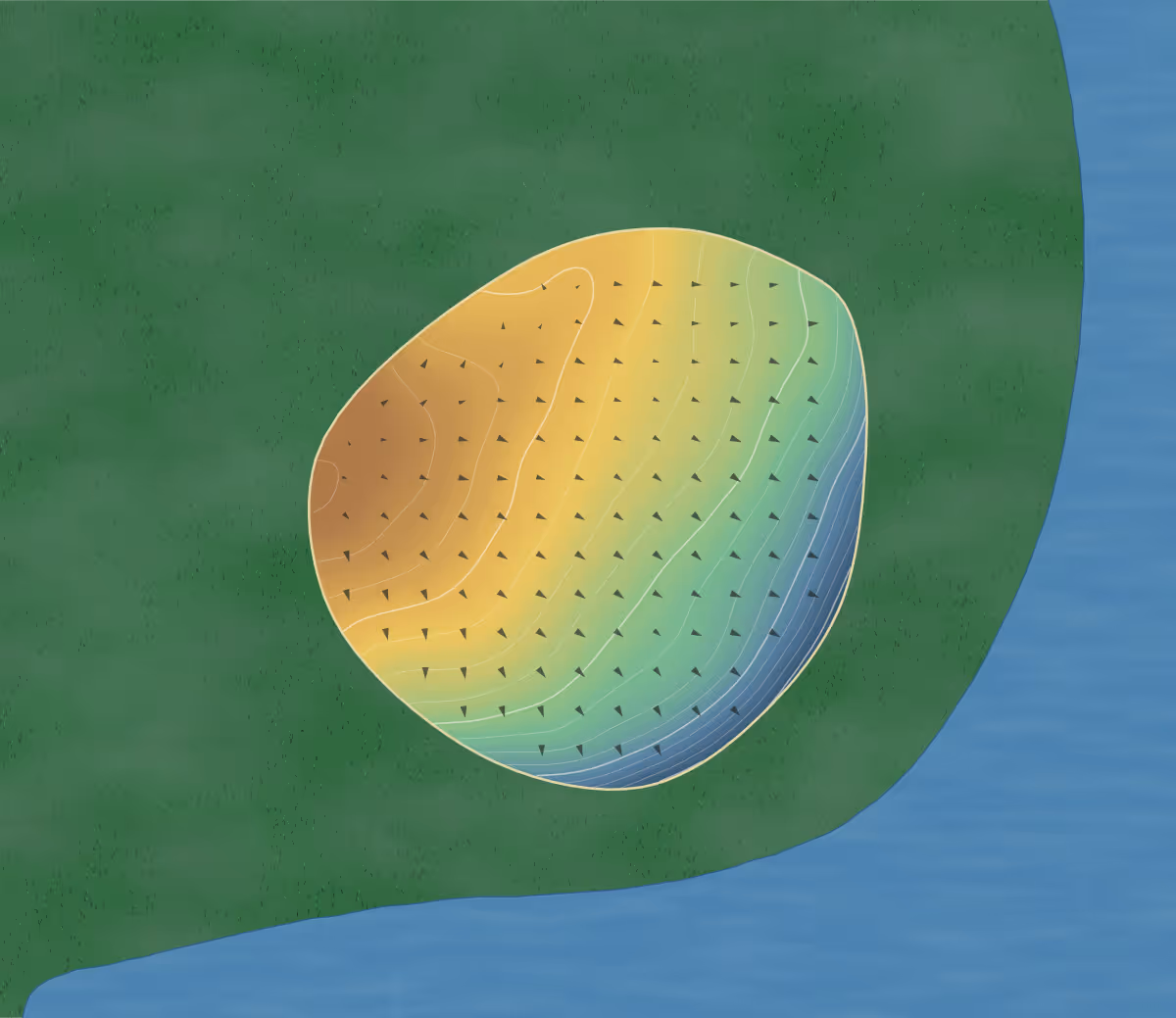 Green contour map of Sandpiper in Leduc, Canada — 167 elevation contours at a 8-centimeter interval with fall-line arrows, traced from 1-meter lidar