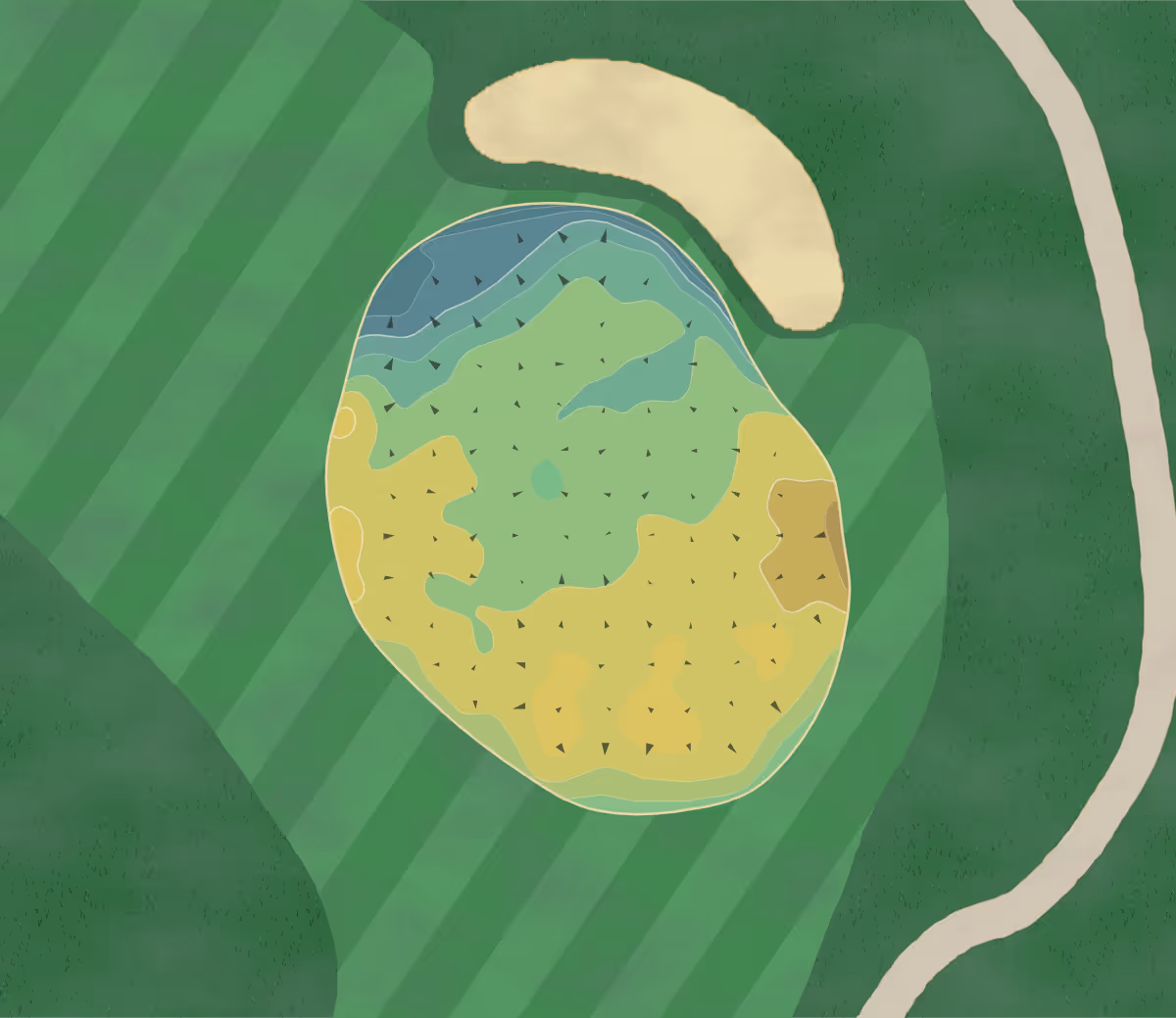 Green contour map of Sankaty Head in Siasconset, Massachusetts — 268 elevation contours at a 3-inch interval with fall-line arrows, traced from 1-meter lidar