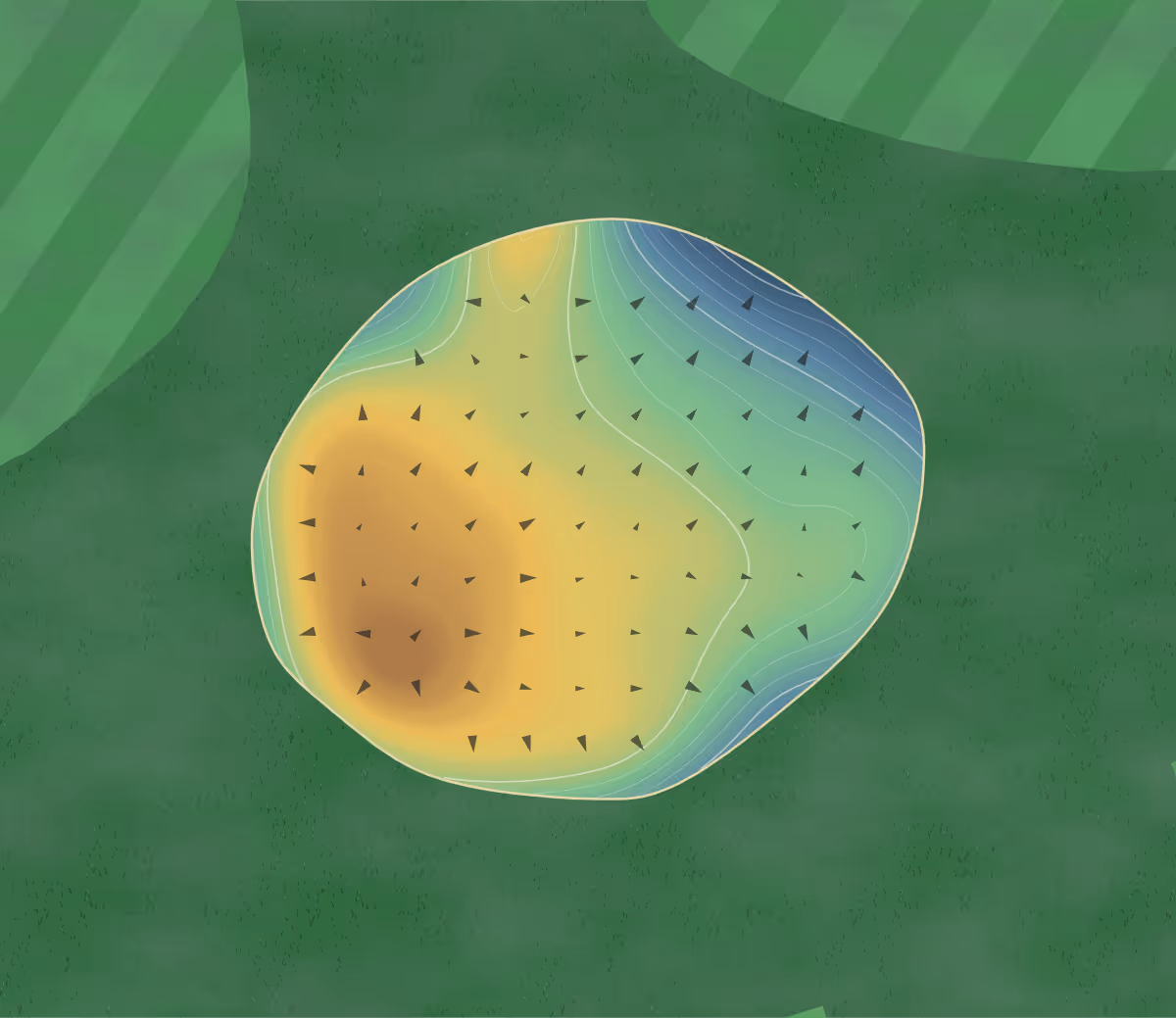 Green contour map of Sara Bay in Sarasota, Florida: 194 elevation contours at a 3-inch interval with fall-line arrows, traced from 1-meter lidar