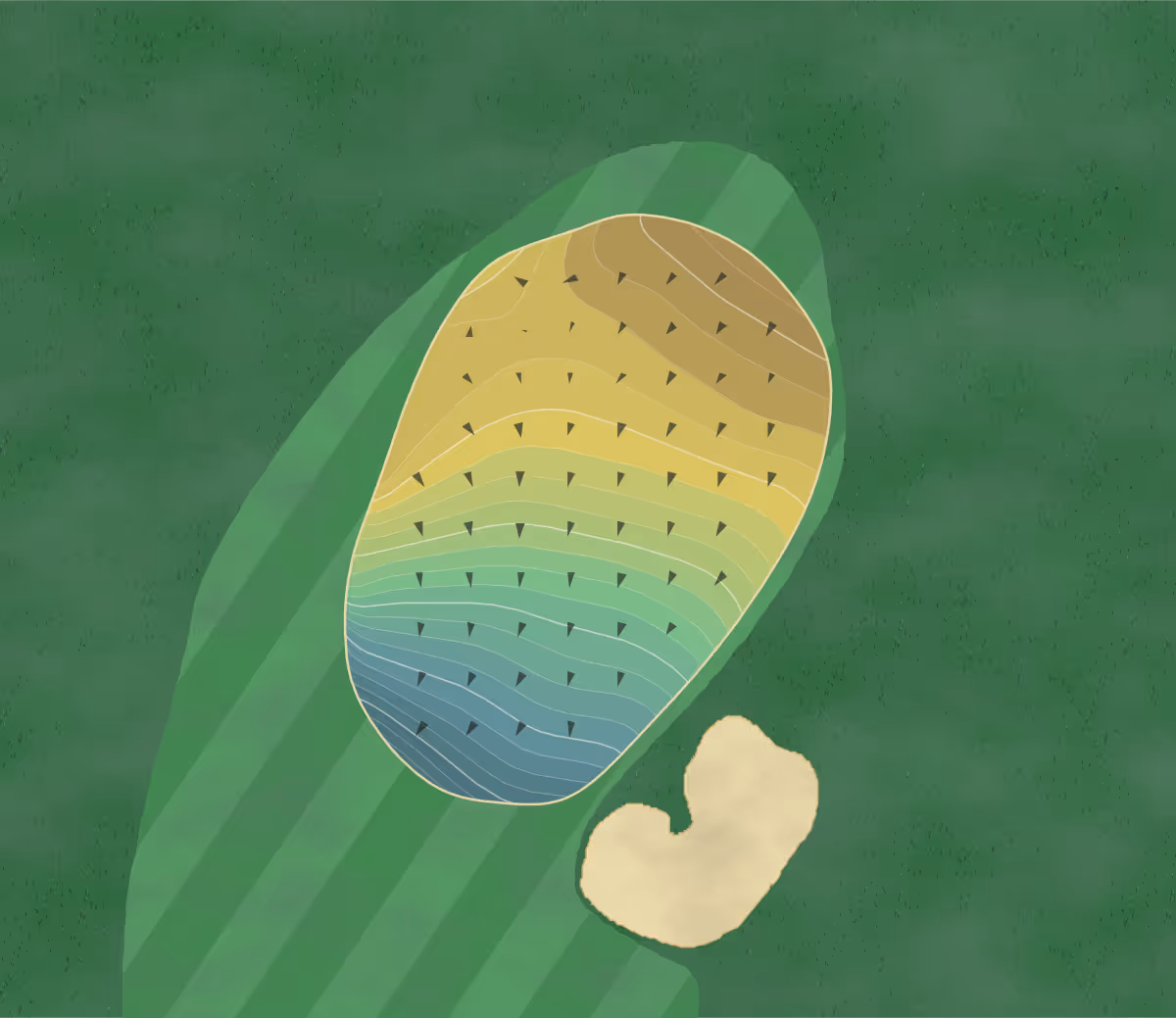 Green contour map of Saticoy Club in Somis, California — 299 elevation contours at a 3-inch interval with fall-line arrows, traced from 1-meter lidar