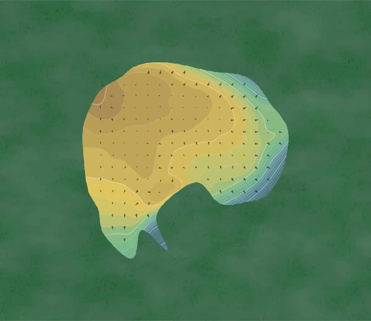 Green contour map of Sault in Sault Ste Marie, Canada — 97 elevation contours at a 8-centimeter interval with fall-line arrows, traced from 1-meter lidar
