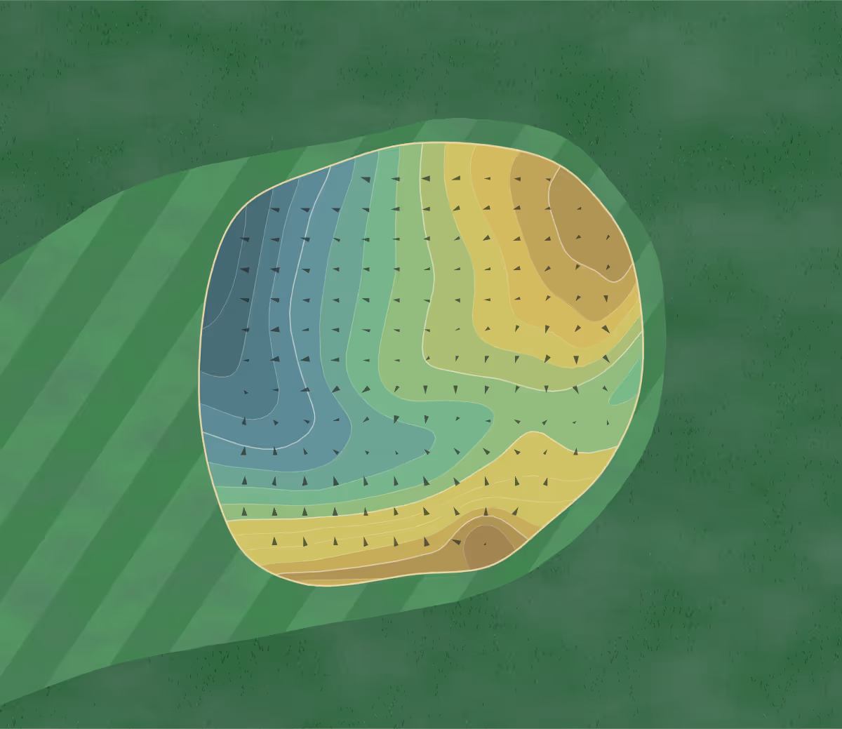 Green contour map of Saxon in Sarver, Pennsylvania — 229 elevation contours at a 3-inch interval with fall-line arrows, traced from 1-meter lidar