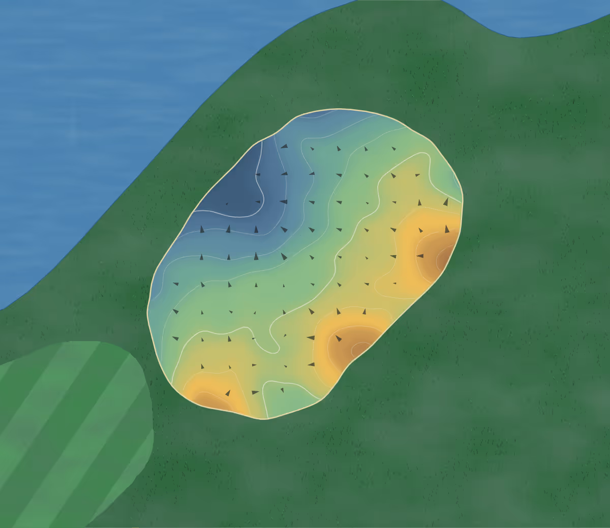 Green contour map of Scepter in Sun City Center, Florida — 80 elevation contours at a 3-inch interval with fall-line arrows, traced from 1-meter lidar