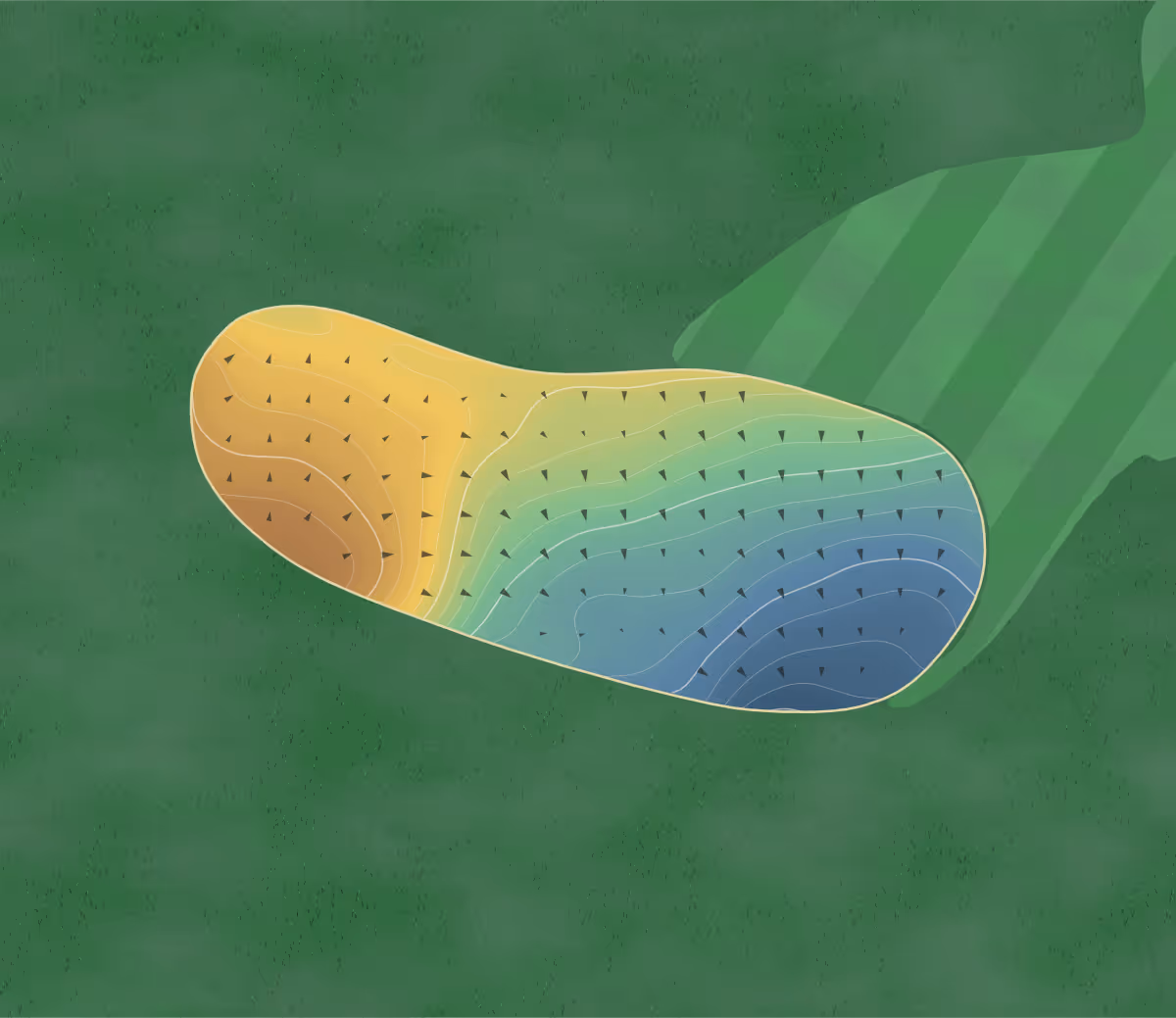 Green contour map of Schneiter's in Sandy, Utah: 116 elevation contours at a 3-inch interval with fall-line arrows, traced from 1-meter lidar