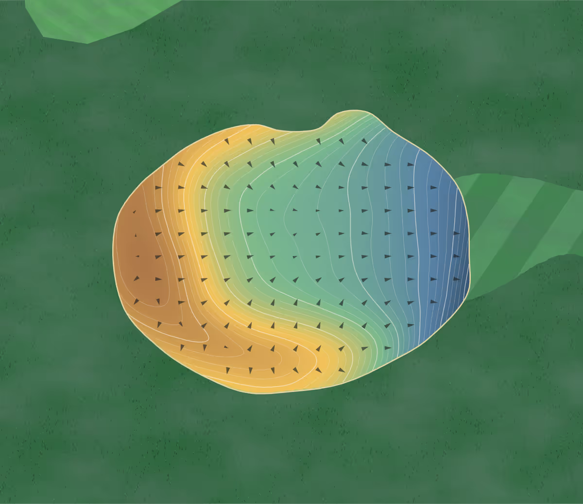 Green contour map of Science Hill in st Mary's, Canada — 243 elevation contours at a 8-centimeter interval with fall-line arrows, traced from 1-meter lidar