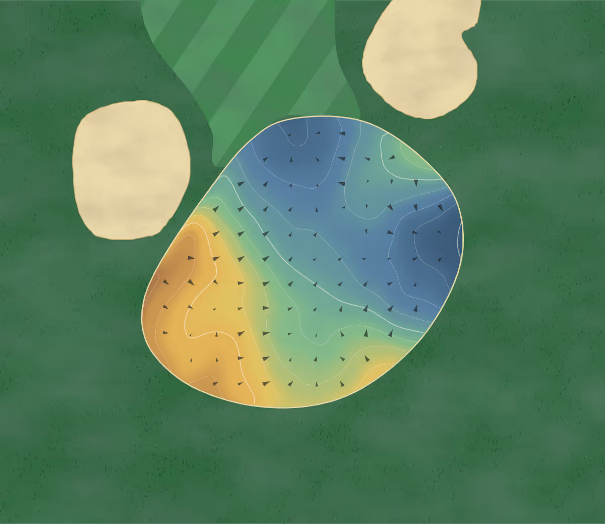 Green contour map of Sconset in Nantucket, Massachusetts — 195 elevation contours at a 3-inch interval with fall-line arrows, traced from 1-meter lidar