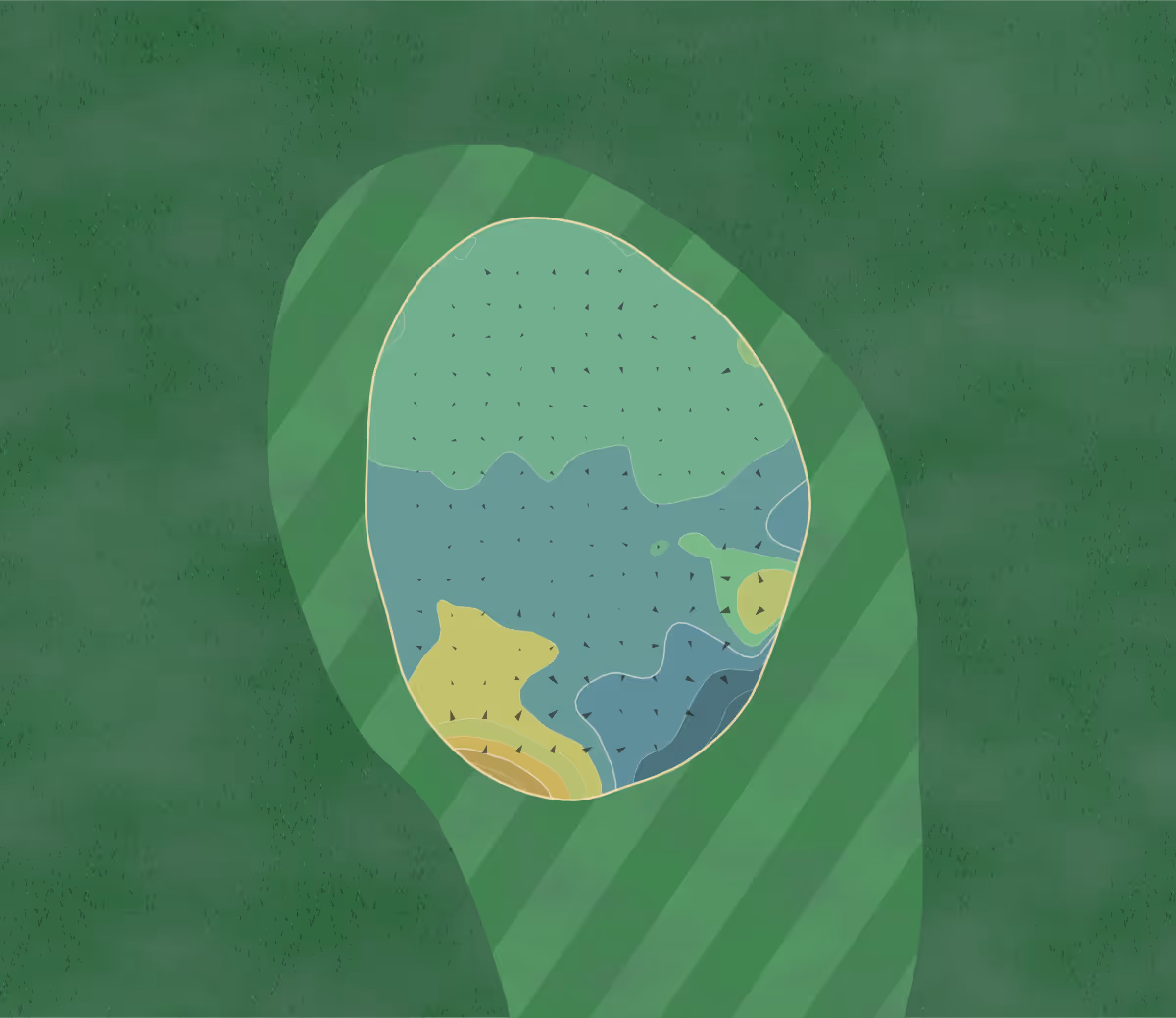 Green contour map of Scotscraig in Tayport, Scotland — 145 elevation contours at a 8-centimeter interval with fall-line arrows, traced from 1-meter lidar