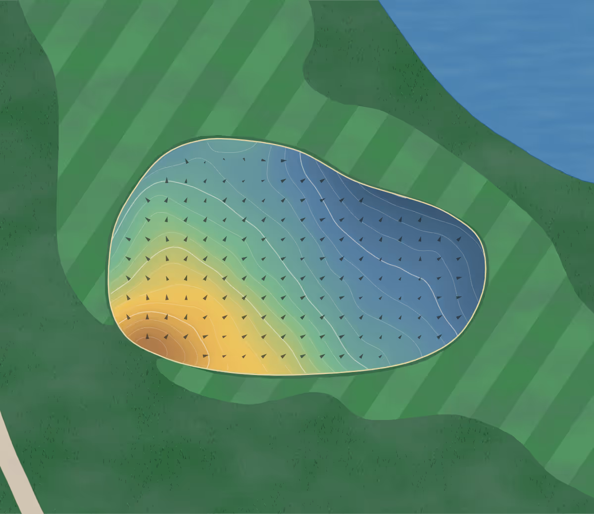 Green contour map of Scotswood Links in Elm Creek, Canada: 181 elevation contours at a 8-centimeter interval with fall-line arrows, traced from 1-meter lidar