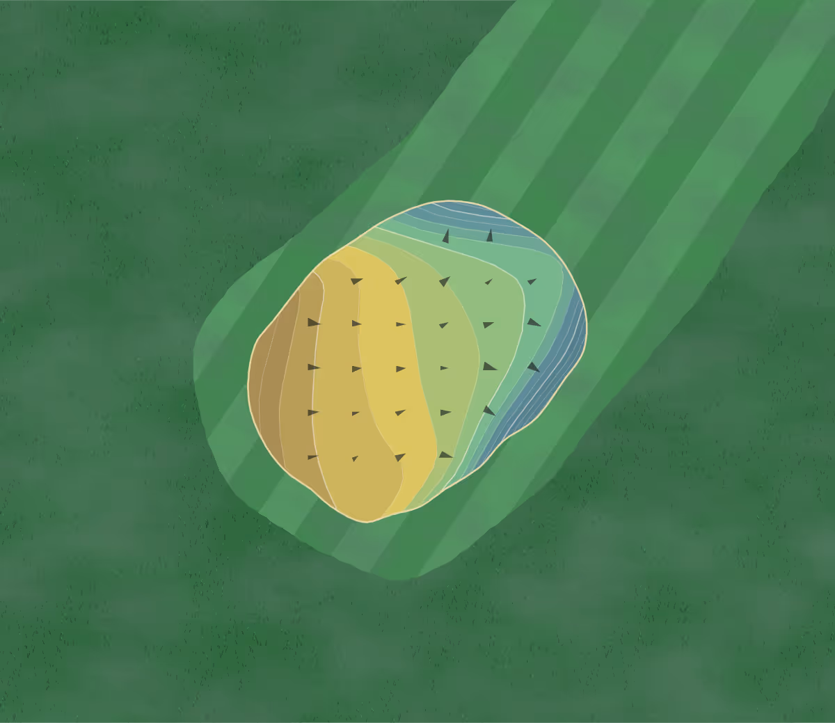 Green contour map of Scranton Canoe in Lake Winola, Pennsylvania — 104 elevation contours at a 3-inch interval with fall-line arrows, traced from 1-meter lidar
