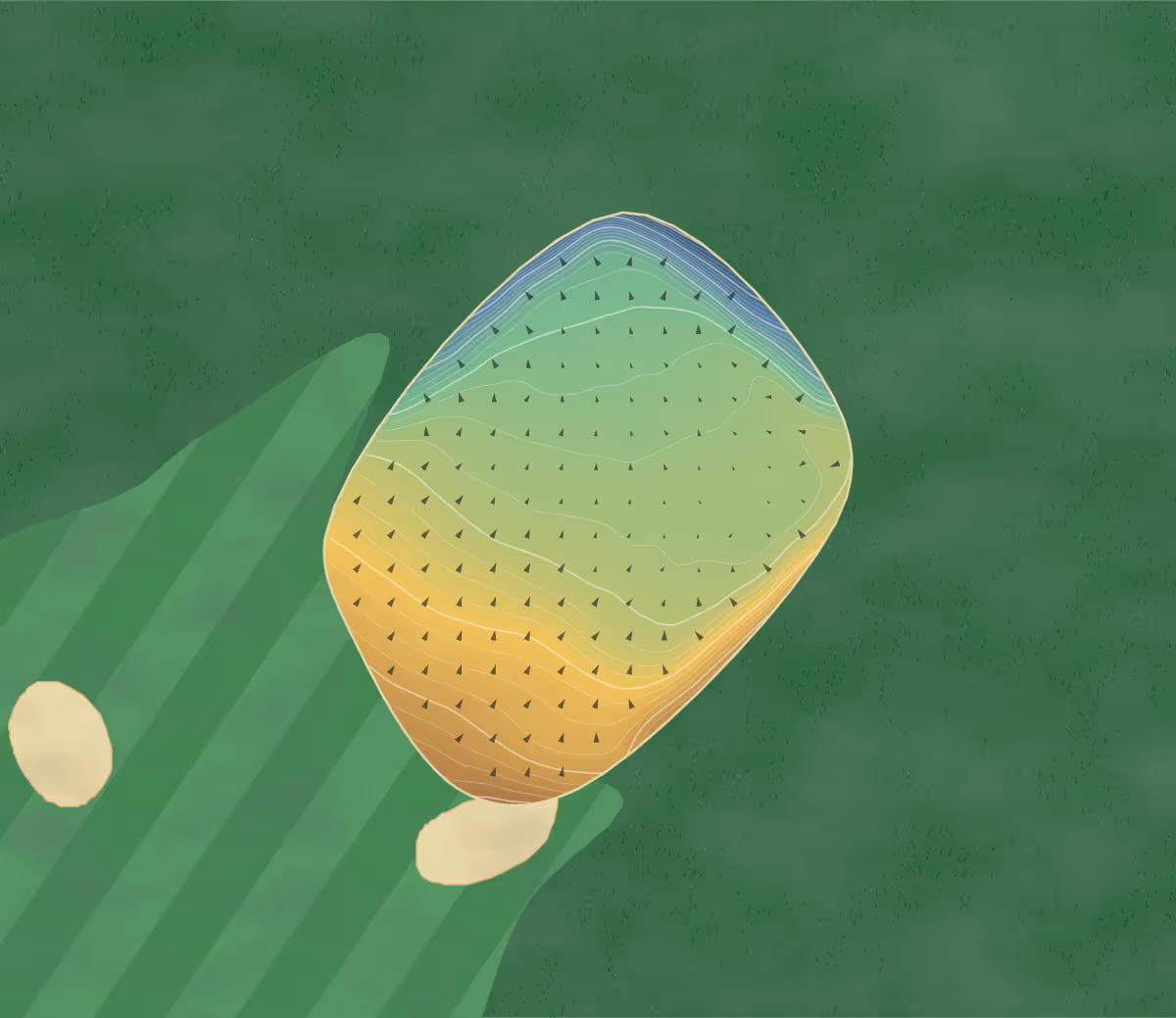 Green contour map of Selkirk in Selkirk Golf Club House, Scotland: 128 elevation contours at a 8-centimeter interval with fall-line arrows, traced from 1-meter lidar