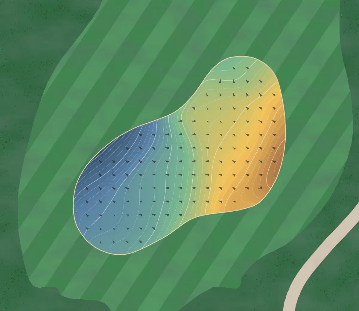 Green contour map of Seminole Legacy in Tallahassee, Florida: 259 elevation contours at a 3-inch interval with fall-line arrows, traced from 1-meter lidar