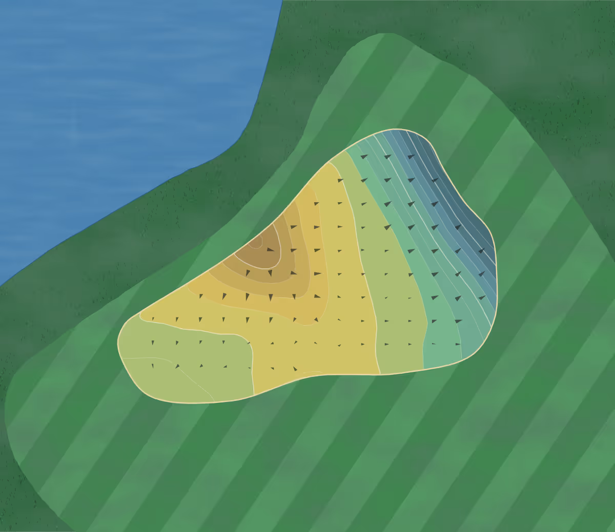Green contour map of SentryWorld in Stevens Point, Wisconsin — 207 elevation contours at a 3-inch interval with fall-line arrows, traced from 1-meter lidar