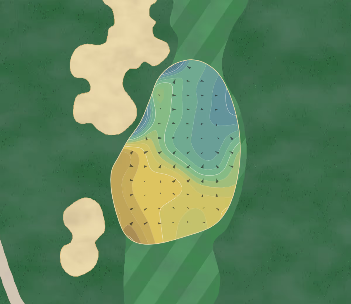 Green contour map of Sewailo in Tucson, Arizona — 169 elevation contours at a 3-inch interval with fall-line arrows, traced from 1-meter lidar